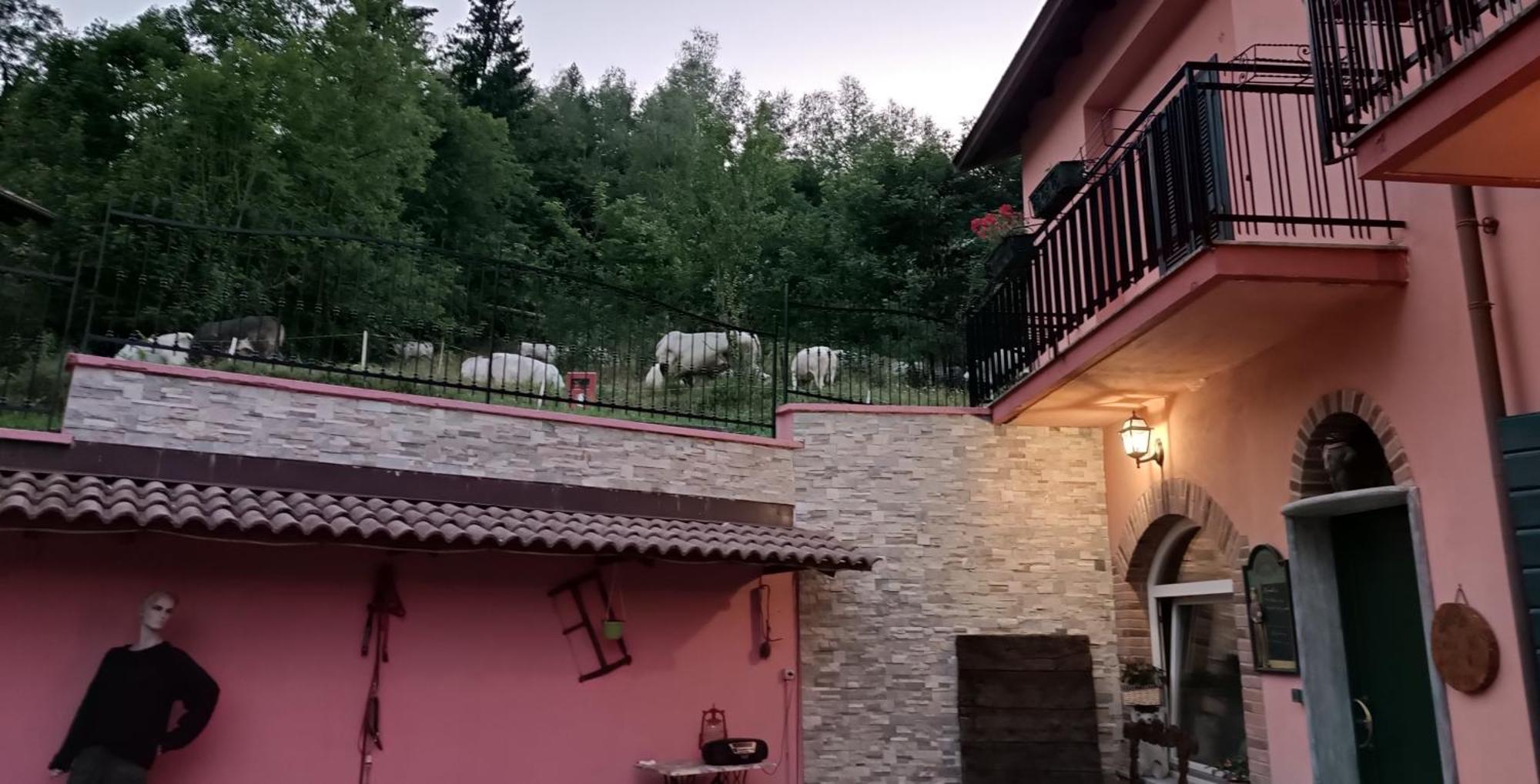 B&B Casa Dell'Orso Лурісія Екстер'єр фото